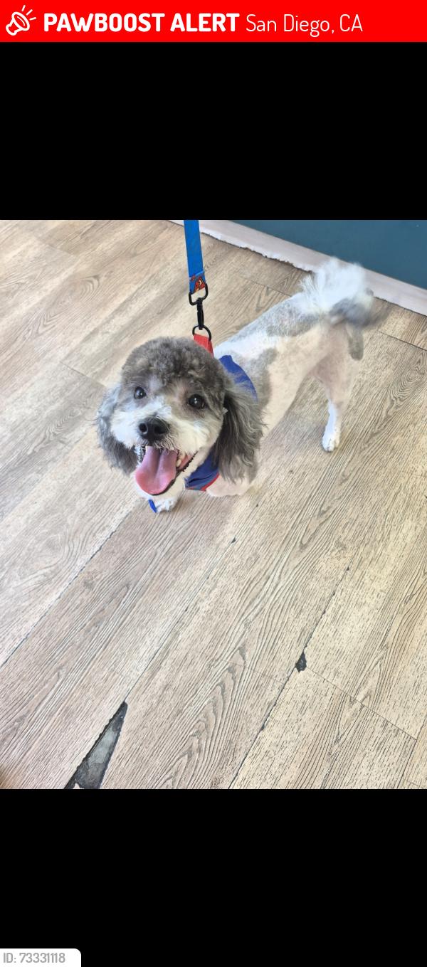 Lost Male Dog last seen Vista ln, San Diego, CA 92173