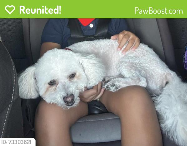 Reunited Male Dog last seen Freeport drive, Victorville, CA 92392
