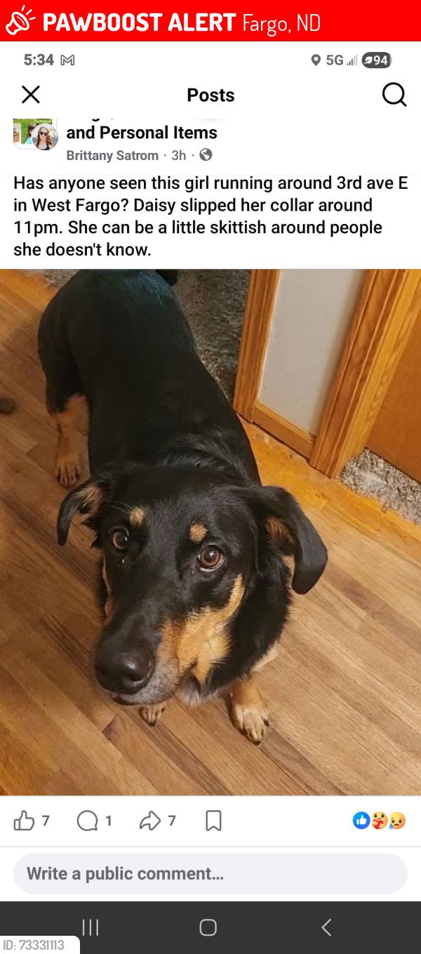 Lost Female Dog last seen North east of 45th st and 12 ave n, Fargo, ND 58102