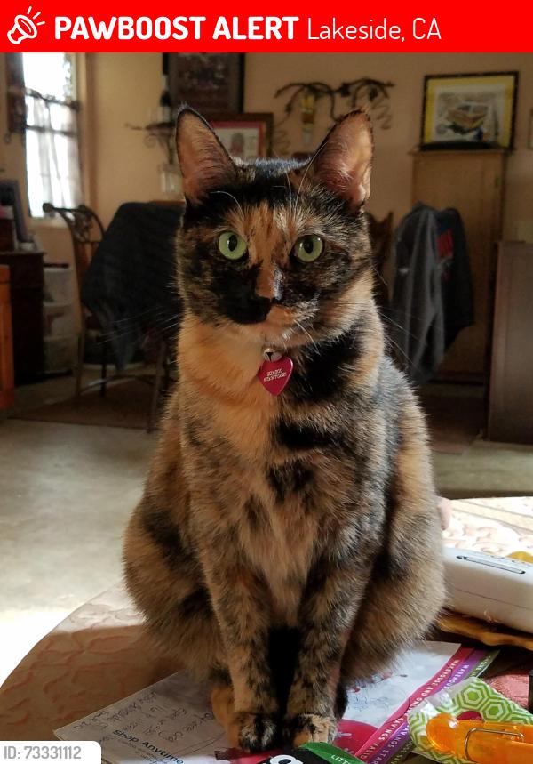 Lost Female Cat last seen Los Rachitos & Pasita de Kristy, Lakeside, CA 92040