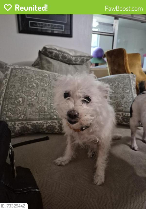 Reunited Female Dog last seen Proctor and McIntosh rd, Sarasota, FL 34233