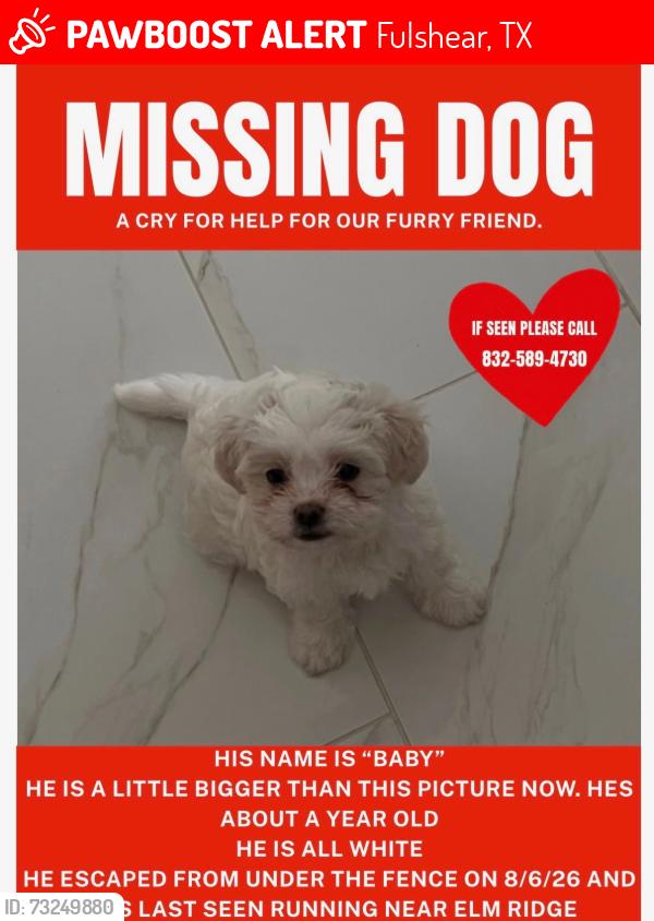 Lost Male Dog last seen Jordan Ranch 77423 , last seen Elm Ridge ln, Fulshear, TX 77423