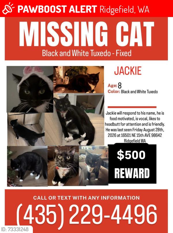 Lost Male Cat last seen Pioneer Vista, Ridgefield, WA 98642