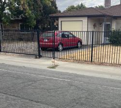 Found/Stray Unknown Dog last seen 61st Street Jansen Rd. Near Fruitridge Rd Sacramento., Sacramento, CA 95820