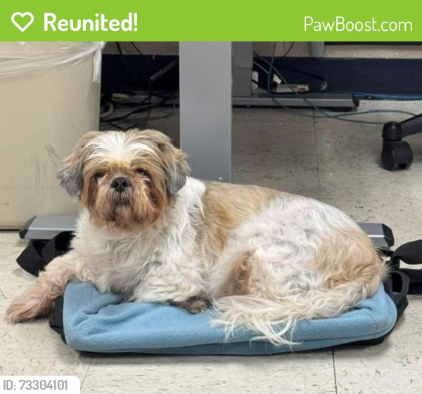 Reunited Unknown Dog last seen NW 27th Street and Blackwelder, OCU campus, Oklahoma City, OK 73106