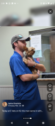 Found/Stray Unknown Dog last seen U.s.19 new Port richey, New Port Richey, FL 34652