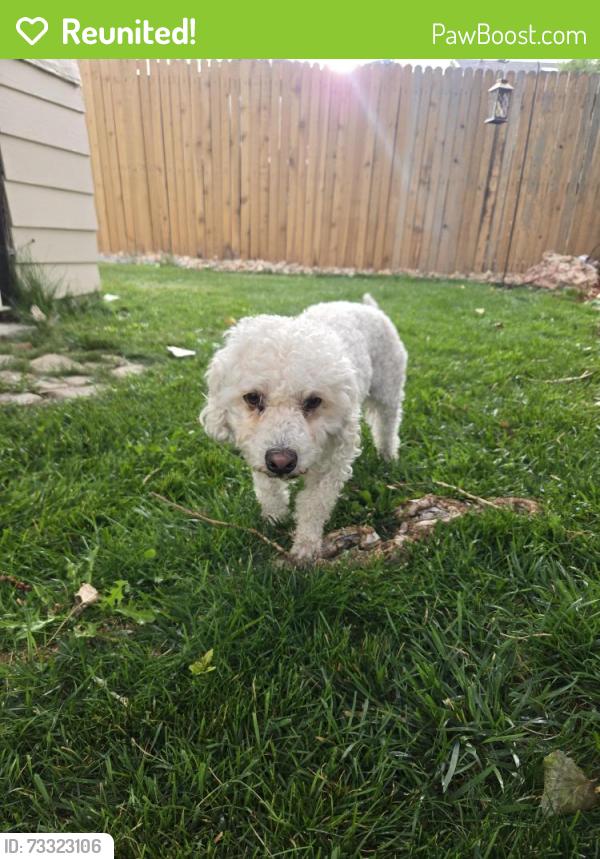 Reunited Male Dog last seen Sable and 51st, Denver, CO 80239