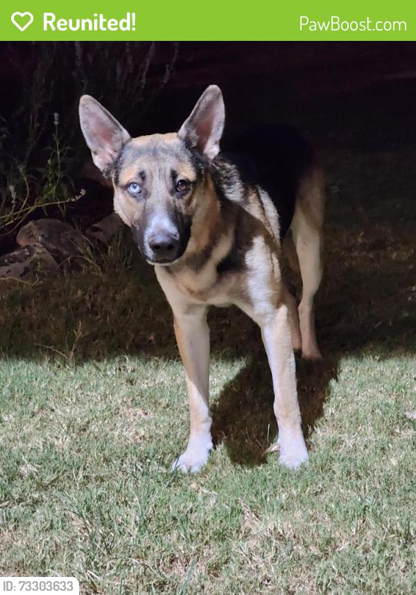 Reunited Male Dog last seen Smetana Rd & Britten Rd, Bryan, TX 77807