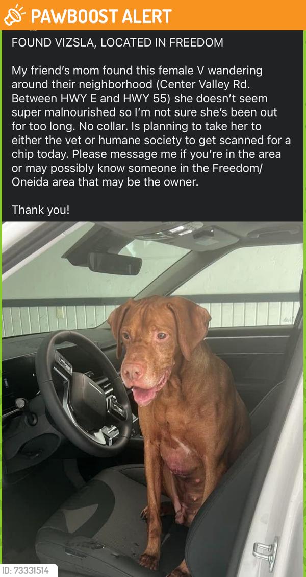 Found/Stray Male Dog last seen Center Valley Road between Hwy E and Hwy 55, Outagamie County, WI 54913