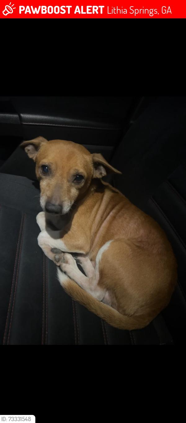 Lost Male Dog last seen Lee rd, Lithia Springs, GA 30122