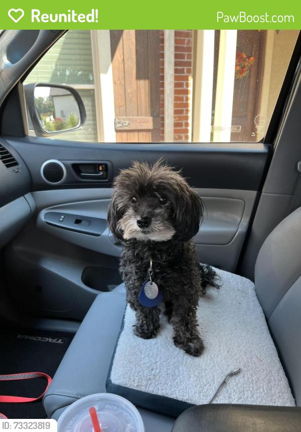 Reunited Male Dog last seen Ridgeway Rd Hot Springs, Hot Springs, AR 71901