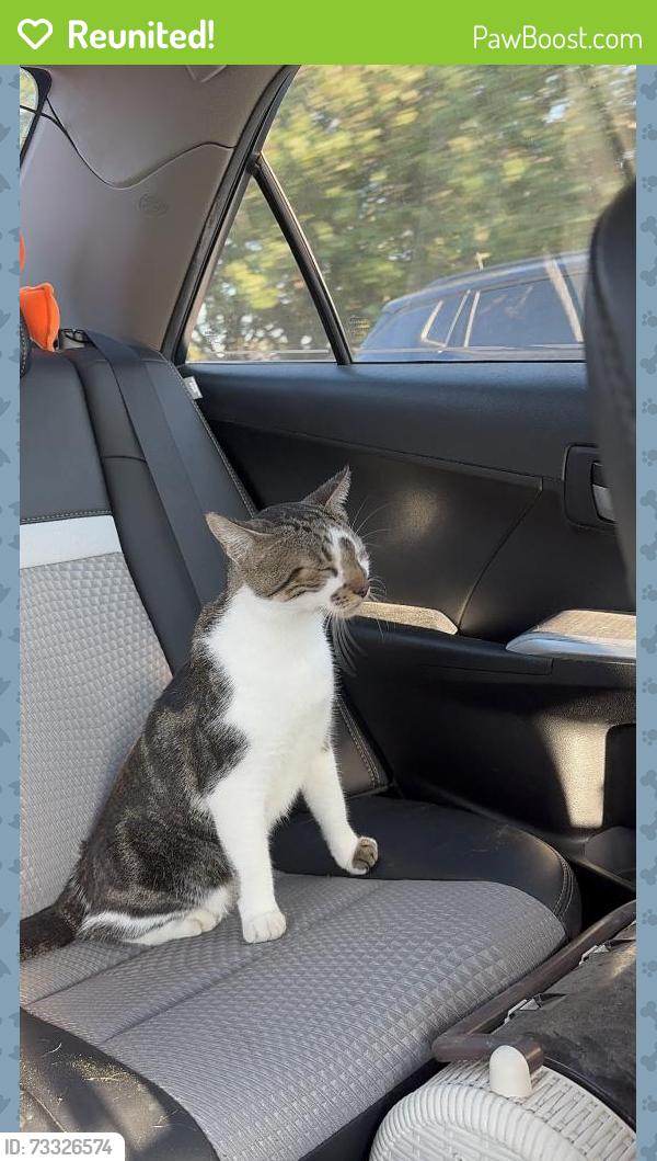 Reunited Male Cat last seen Near Quiet Brook Ln, Richmond, TX 77406, USA, Richmond, TX 77406
