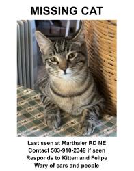 Lost Male Cat last seen River Rd NE, Marion County, OR 97026