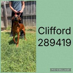 Shelter Stray Male Dog last seen LOG CABIN, 4214 Fulton Mill Rd, Macon, GA 31216, USA