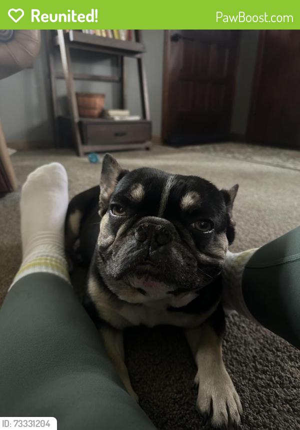 Reunited Male Dog last seen Hadley Ave s, Cottage Grove, MN 55016