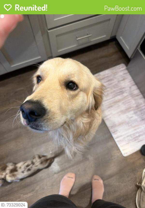 Reunited Male Dog last seen Comet Scott’s hill, Pender County, NC 28411