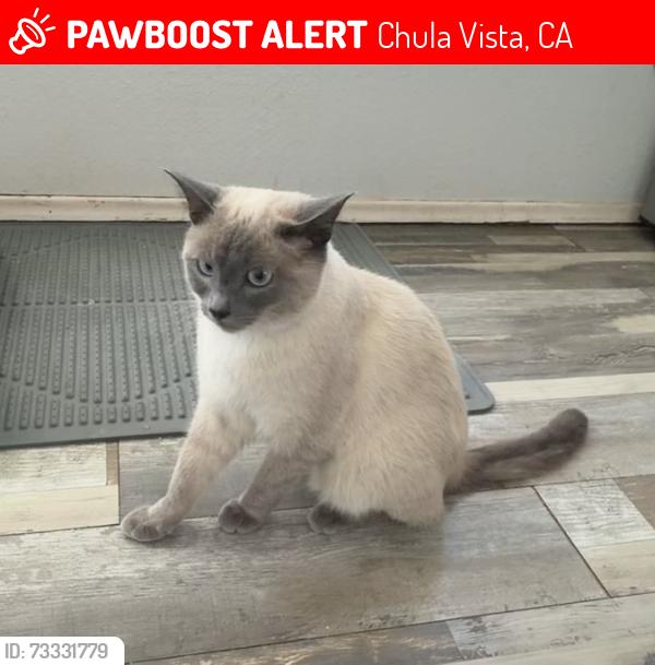 Lost Male Cat last seen Greg Rogers Park, Chula Vista, CA 91911