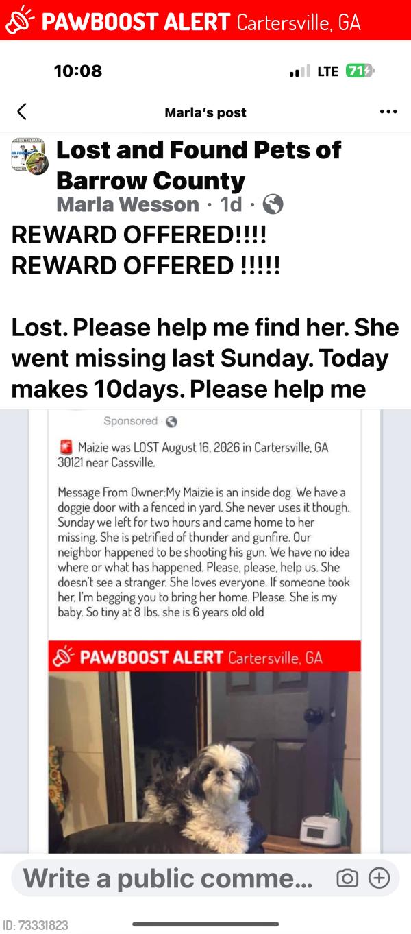 Lost Female Dog last seen Cassewhite, Cartersville, GA 30121