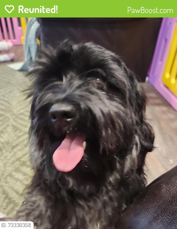 Reunited Male Dog last seen Herman st, White Settlement, TX 76108