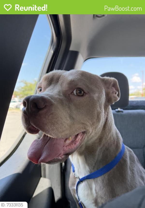 Reunited Male Dog last seen S shore dr & red oak st, Jacksonville, NC 28540
