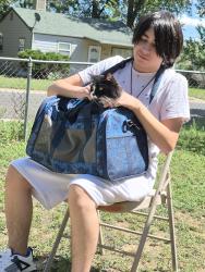Reunited Female Cat last seen Meade and Florida, Denver, CO 80219