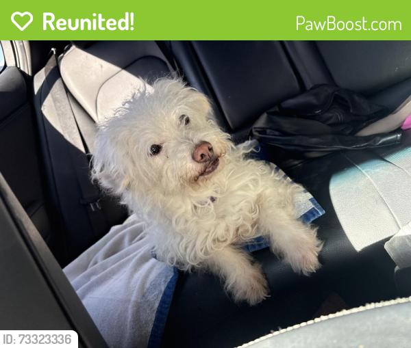 Reunited Male Dog last seen Dunkin’ Donuts on Juan tabo and menaul, Albuquerque, NM 87112