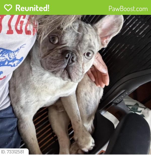 Reunited Male Dog last seen Nonaville Road, Mt. Juliet, TN 37122