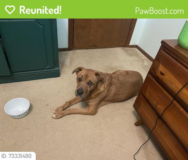 Reunited Male Dog last seen Old Harwick and Woodbridge in Warwick ests, Oklahoma City, OK 73162