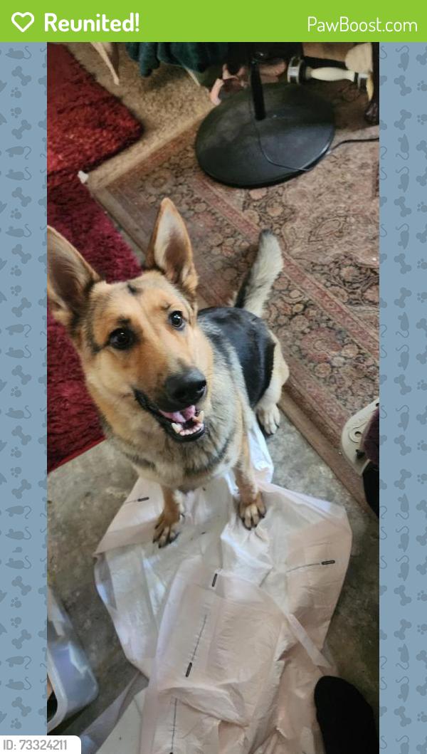 Reunited Female Dog last seen Between Dayle and Montecito Rd., Ramona, CA 92065