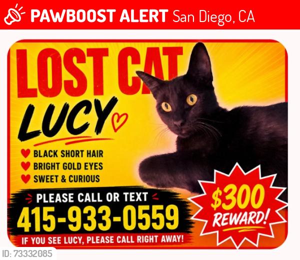 Lost Female Cat last seen Near 37th St, San Diego, CA 92116