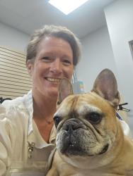 Reunited Male Dog last seen Wilson and ansley, Fort Wayne, IN 46804