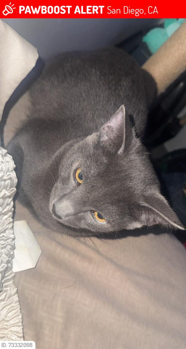 Lost Male Cat last seen Parkside pl, San Diego, CA 92139
