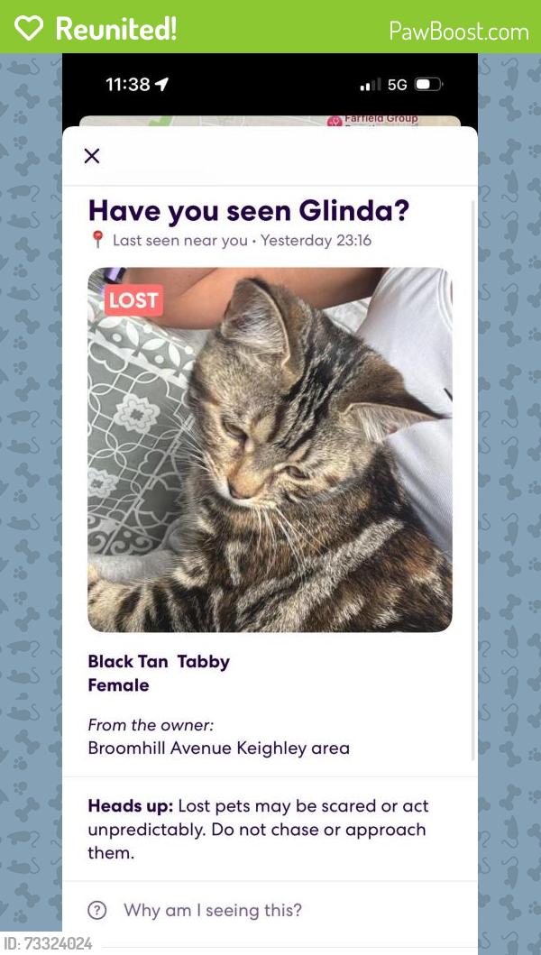 Reunited Female Cat last seen Ingrow primary school, West Yorkshire, England BD21 1ND