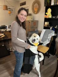 Lost Female Dog last seen Townsend blvd, Jacksonville, FL 32211