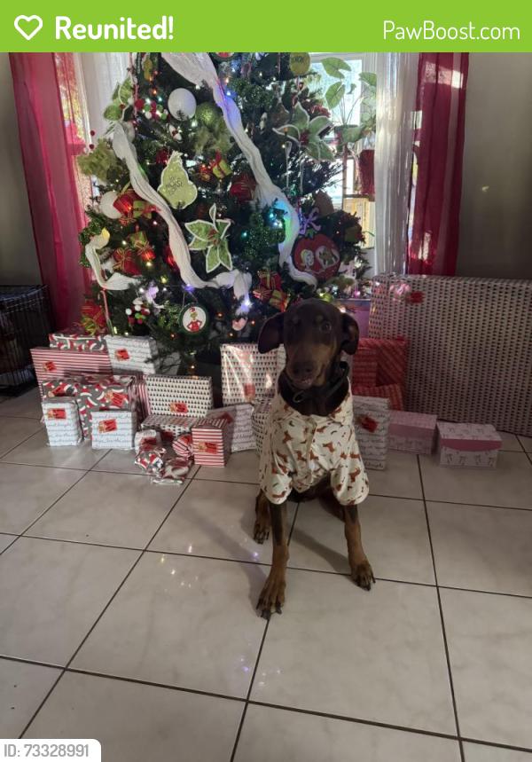 Reunited Female Dog last seen Providence and Tívoli, Deltona, FL 32725
