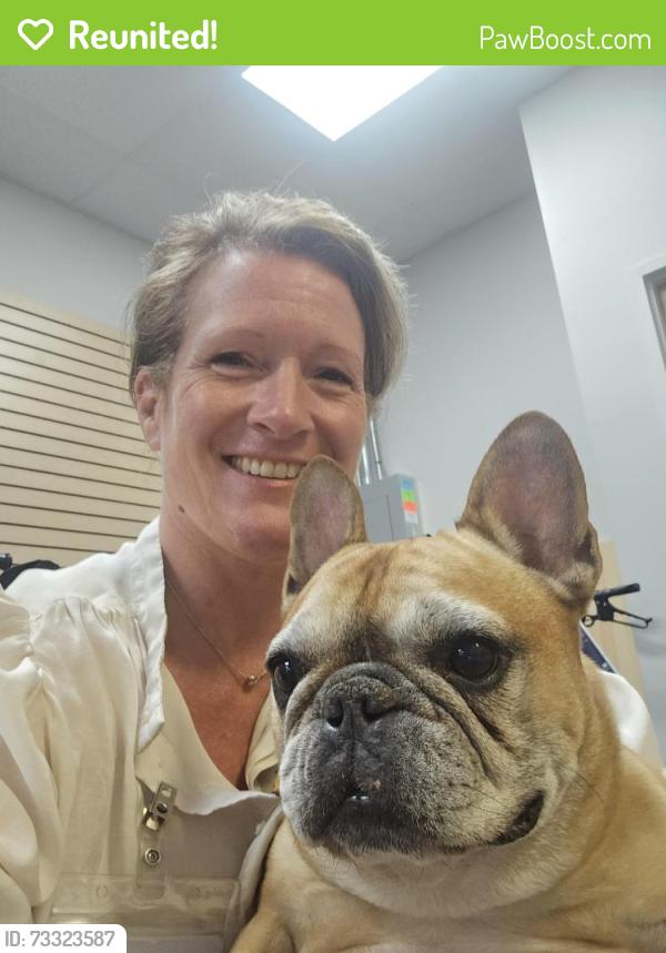 Reunited Male Dog last seen Wilson and ansley, Fort Wayne, IN 46804
