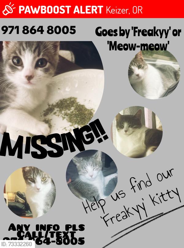 Lost Female Cat last seen Friends of felines parkinglot, Keizer, OR 97303