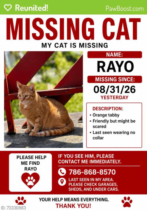 Reunited Male Cat last seen Gas station from the corner, Milwaukee, WI 53208