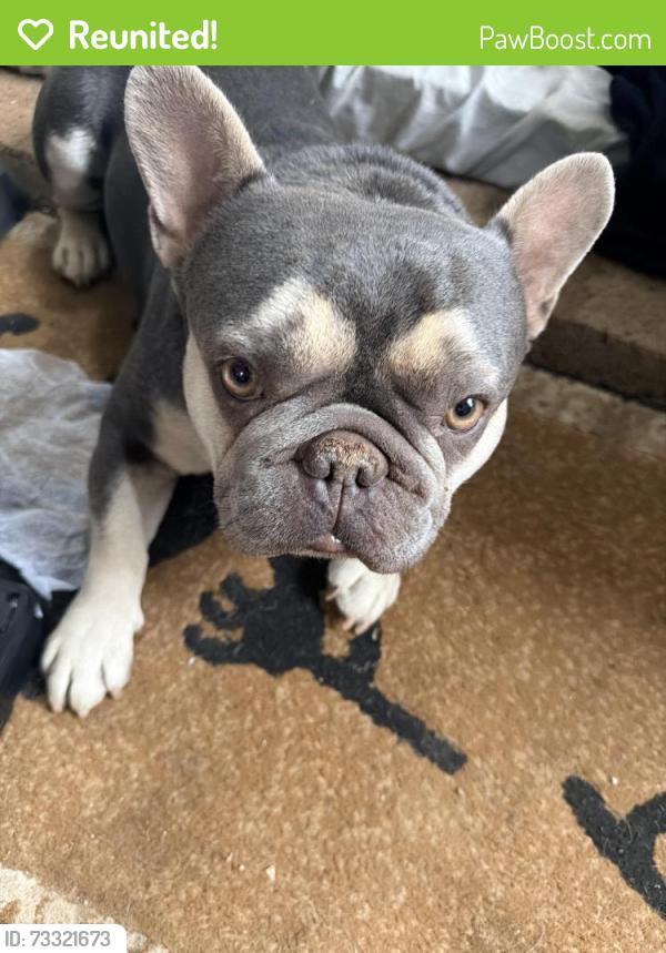 Reunited Male Dog last seen Near Valley high school Candelaria in between 12th St. and Rio Grande, Albuquerque, NM 87107