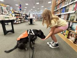 Shelter Stray Female Dog last seen CENTRAL - ROOSEVELT, 5501 E Van Buren St, Phoenix, AZ 85008, USA