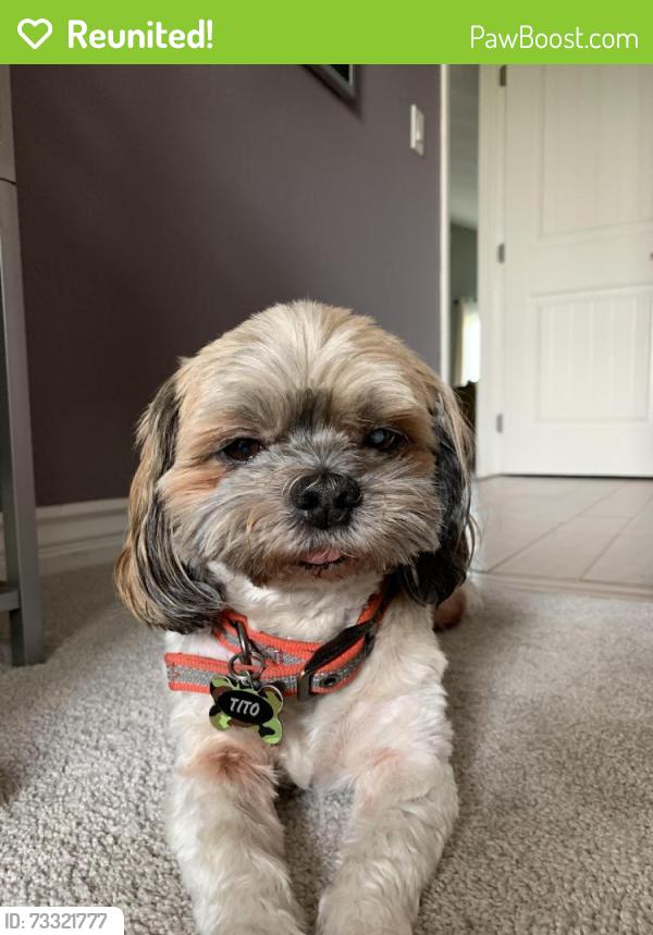Reunited Male Dog last seen Surrey dr, Bonita, CA 91902