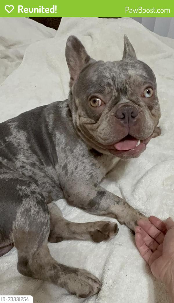 Reunited Male Dog last seen Near University Ave, San Diego, CA 92104, USA, San Diego, CA 92104