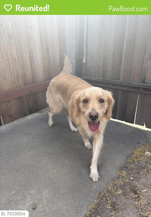 Reunited Unknown Dog last seen Center pkwy / J pkwy, Sacramento, CA 95823
