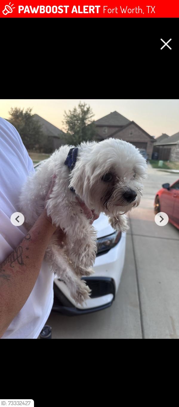 Lost Male Dog last seen Near Leonard Ranch Rd, Fort Worth, TX 76134