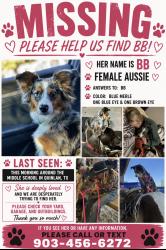 Reunited Female Dog last seen Quinlan Middle School, Quinlan, TX 75474