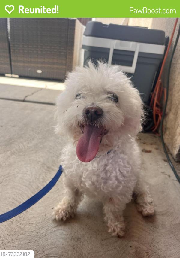 Reunited Male Dog last seen Mt Oso Ave and Cecelio way near South/west park elementary school, Tracy, CA 95376
