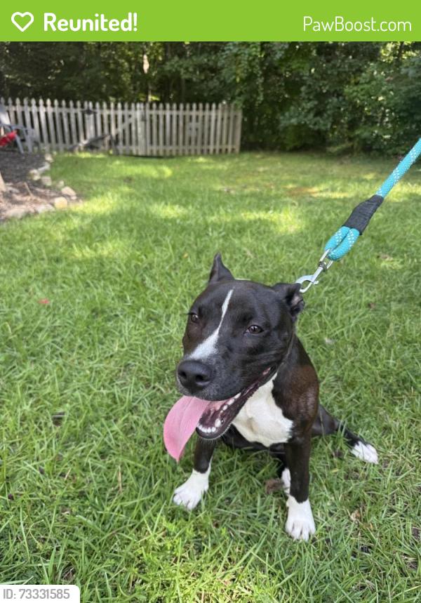 Reunited Female Dog last seen Near, Johnston County, NC 27577