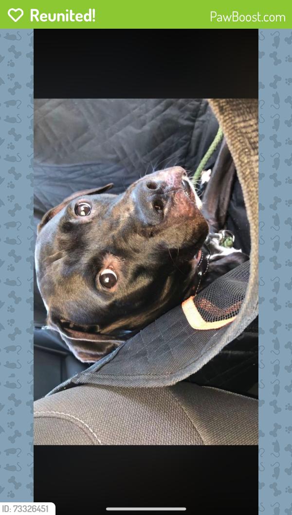 Reunited Male Dog last seen Hidden glen, Sarasota, FL 34239