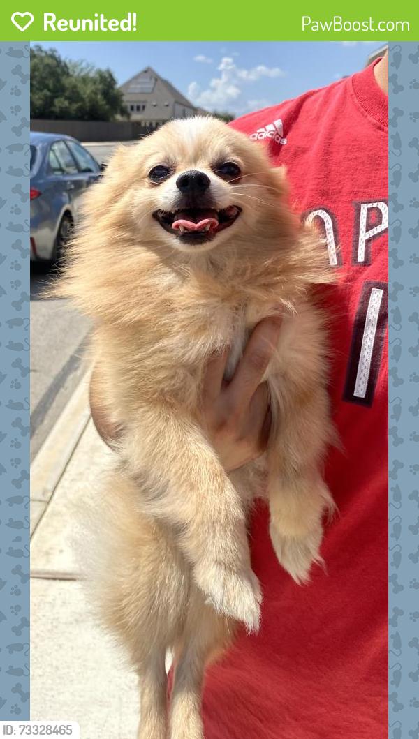 Reunited Unknown Dog last seen Dalhart and Knippa, San Antonio, TX 78253