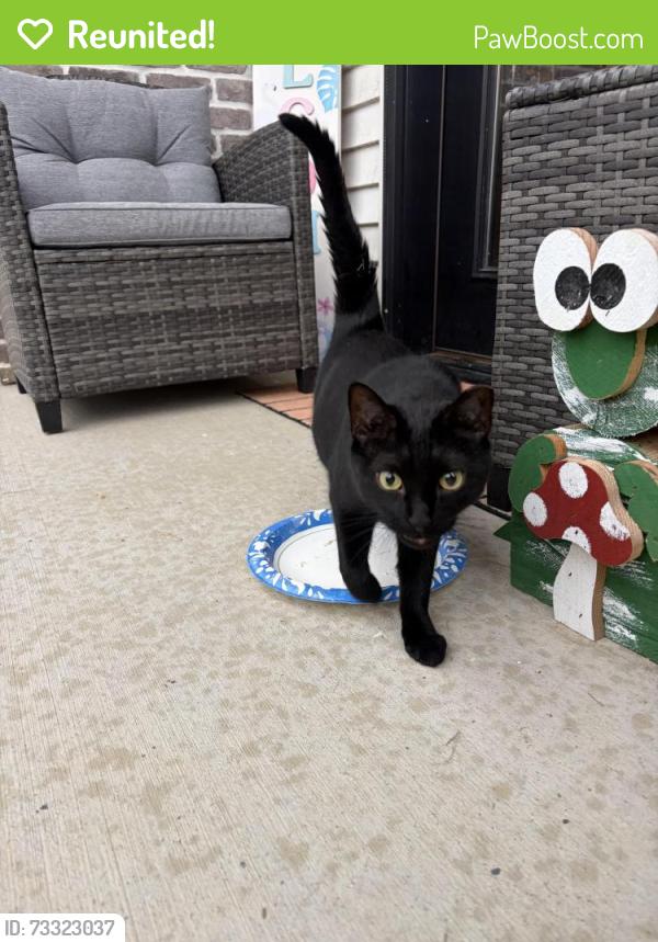 Reunited Unknown Cat last seen Across from PRMC, Fort Wayne, IN 46845